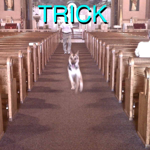 Trick